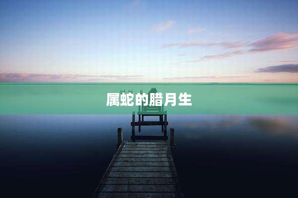 属蛇的腊月生