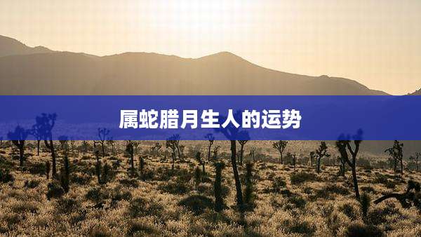 属蛇腊月生人的运势