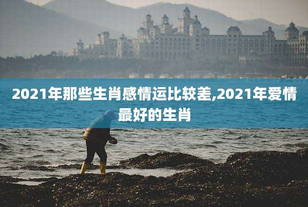 2021年那些生肖感情运比较差,2021年爱情最好的生肖