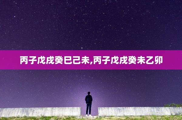 丙子戊戌癸巳己未,丙子戊戌癸未乙卯
