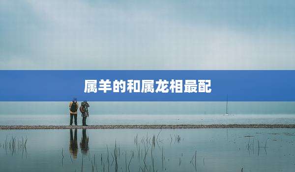 属羊的和属龙相最配