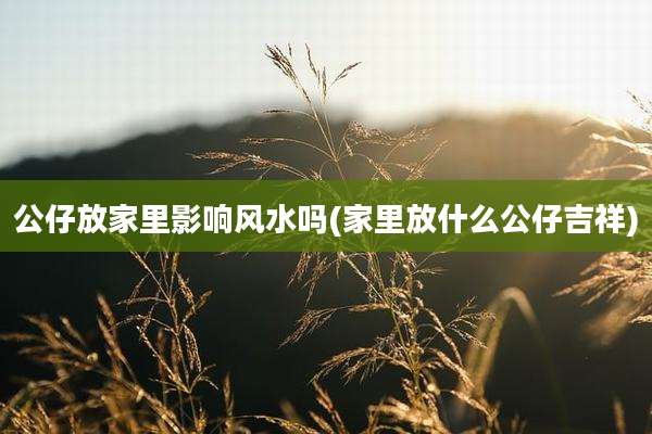 公仔放家里影响风水吗(家里放什么公仔吉祥)