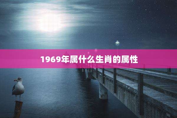 1969年属什么生肖的属性