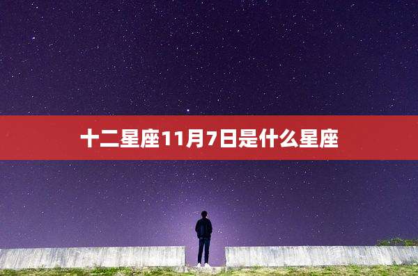 十二星座11月7日是什么星座