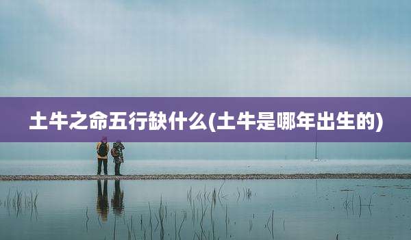土牛之命五行缺什么(土牛是哪年出生的)