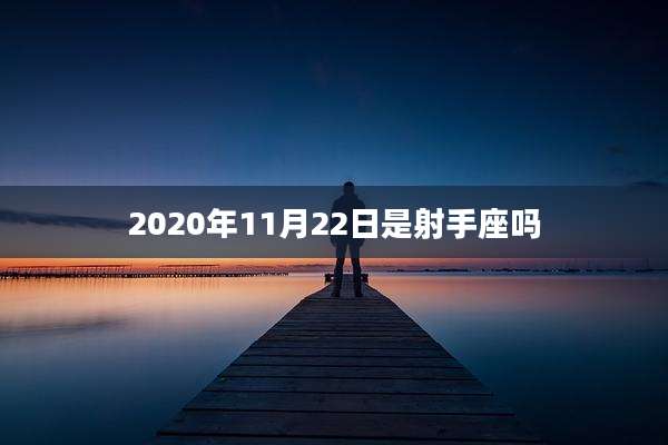 2020年11月22日是射手座吗