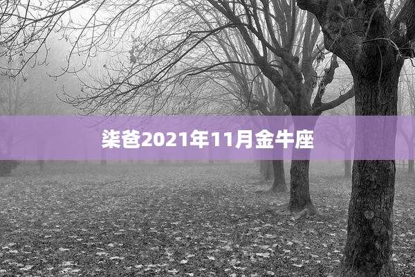 柒爸2021年11月金牛座
