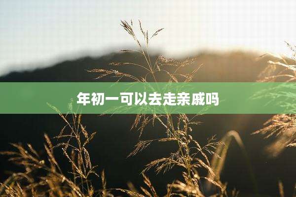 年初一可以去走亲戚吗