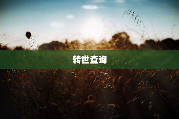 转世查询