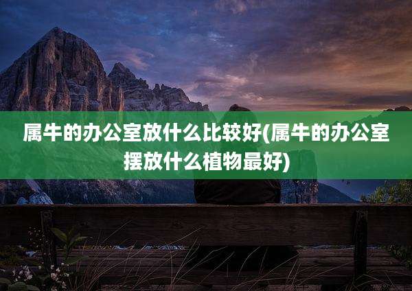 属牛的办公室放什么比较好(属牛的办公室摆放什么植物最好)