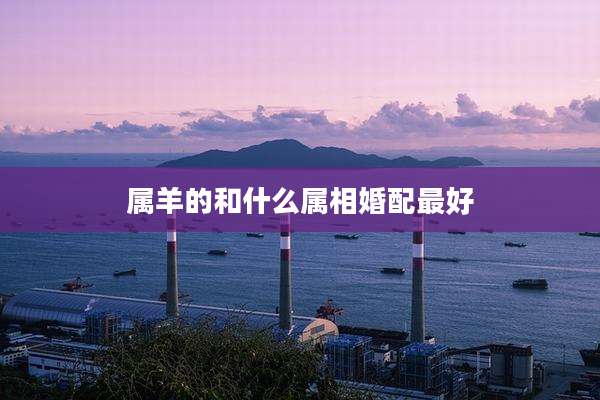 属羊的和什么属相婚配最好