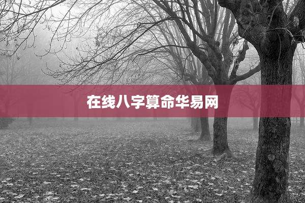 在线八字算命华易网