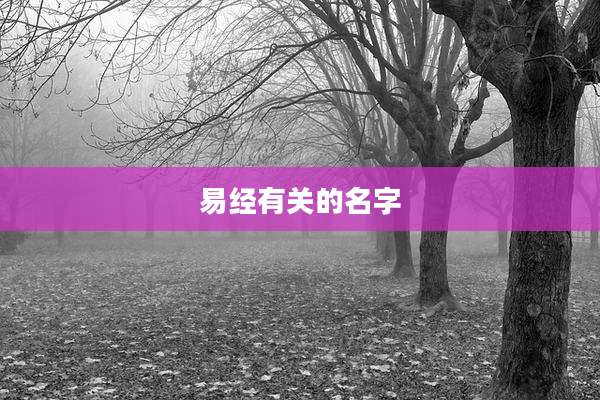 易经有关的名字