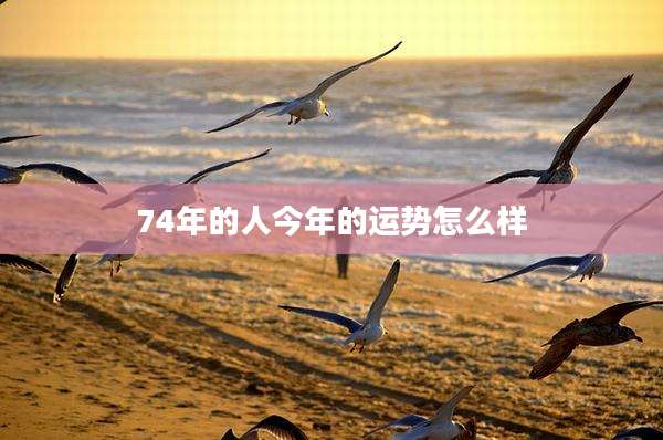 74年的人今年的运势怎么样