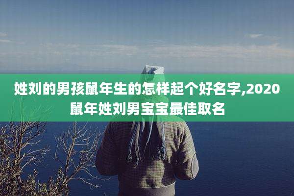 姓刘的男孩鼠年生的怎样起个好名字,2020鼠年姓刘男宝宝最佳取名