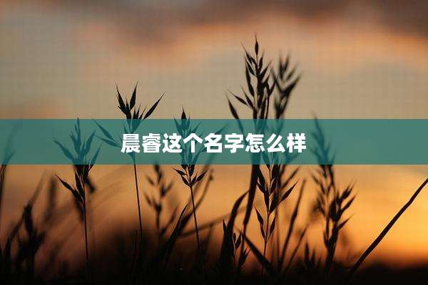 晨睿这个名字怎么样