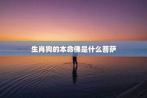生肖狗的本命佛是什么菩萨