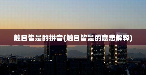触目皆是的拼音(触目皆是的意思解释)