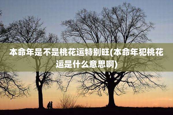 本命年是不是桃花运特别旺(本命年犯桃花运是什么意思啊)