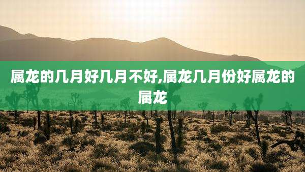 属龙的几月好几月不好,属龙几月份好属龙的属龙