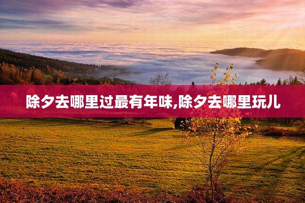 除夕去哪里过最有年味,除夕去哪里玩儿