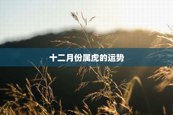 十二月份属虎的运势