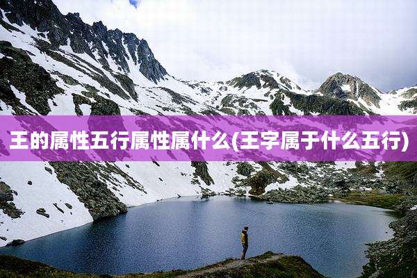 王的属性五行属性属什么(王字属于什么五行)