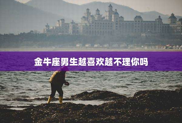 金牛座男生越喜欢越不理你吗