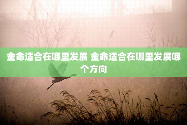 金命适合在哪里发展 金命适合在哪里发展哪个方向