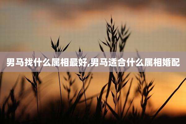男马找什么属相最好,男马适合什么属相婚配