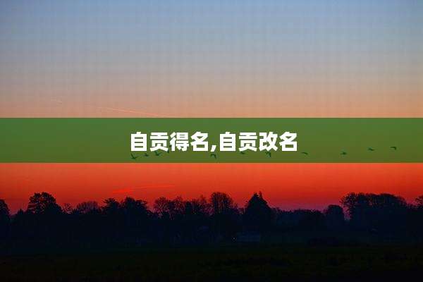 自贡得名,自贡改名
