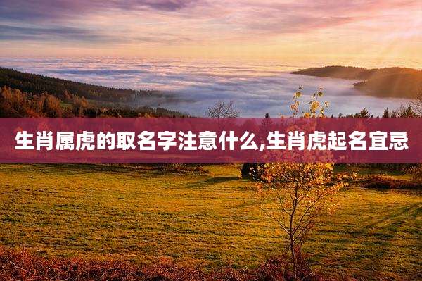 生肖属虎的取名字注意什么,生肖虎起名宜忌