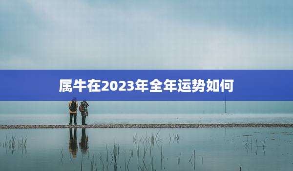 属牛在2023年全年运势如何