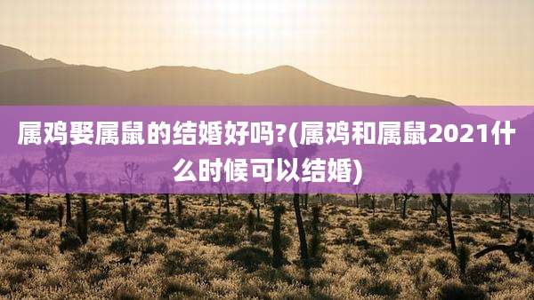 属鸡娶属鼠的结婚好吗?(属鸡和属鼠2021什么时候可以结婚)