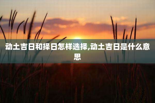 动土吉日和择日怎样选择,动土吉日是什么意思