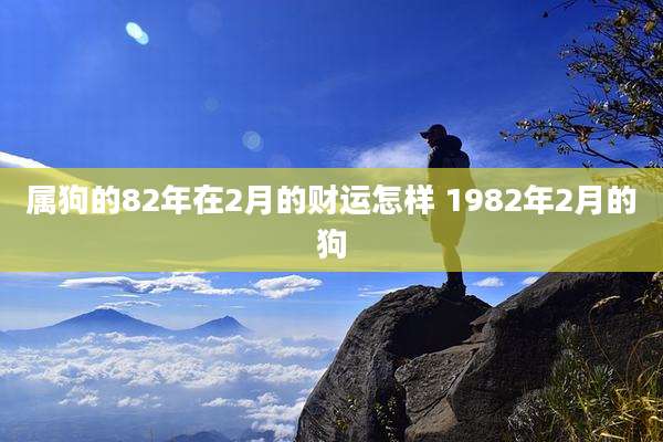 属狗的82年在2月的财运怎样 1982年2月的狗