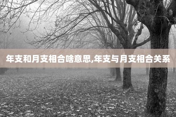 年支和月支相合啥意思,年支与月支相合关系