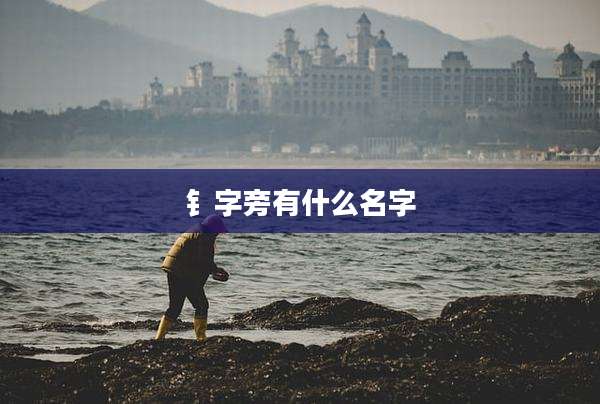 钅字旁有什么名字