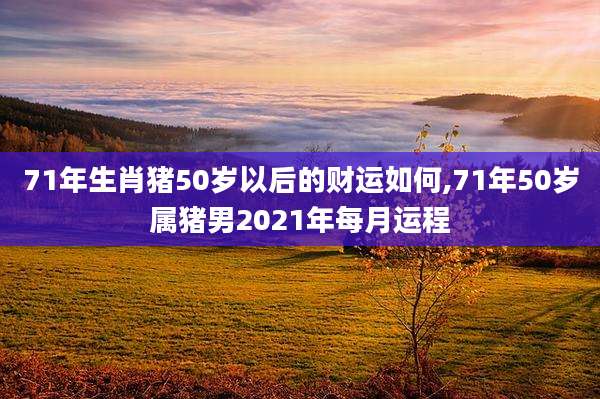 71年生肖猪50岁以后的财运如何,71年50岁属猪男2021年每月运程