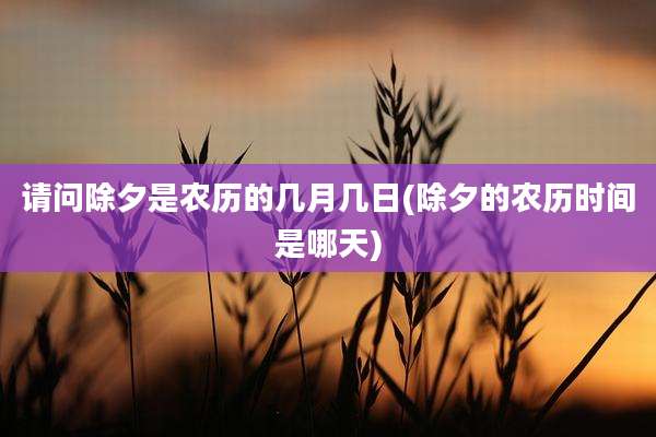 请问除夕是农历的几月几日(除夕的农历时间是哪天)