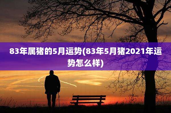 83年属猪的5月运势(83年5月猪2021年运势怎么样)