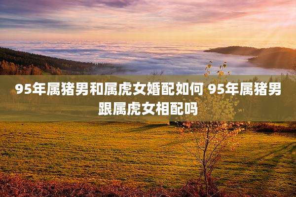 95年属猪男和属虎女婚配如何 95年属猪男跟属虎女相配吗