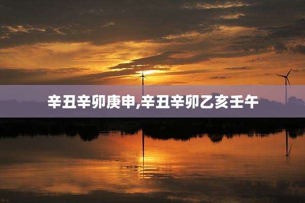辛丑辛卯庚申,辛丑辛卯乙亥壬午
