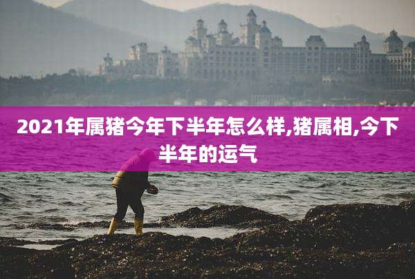 2021年属猪今年下半年怎么样,猪属相,今下半年的运气