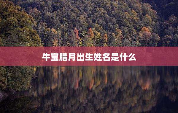 牛宝腊月出生姓名是什么