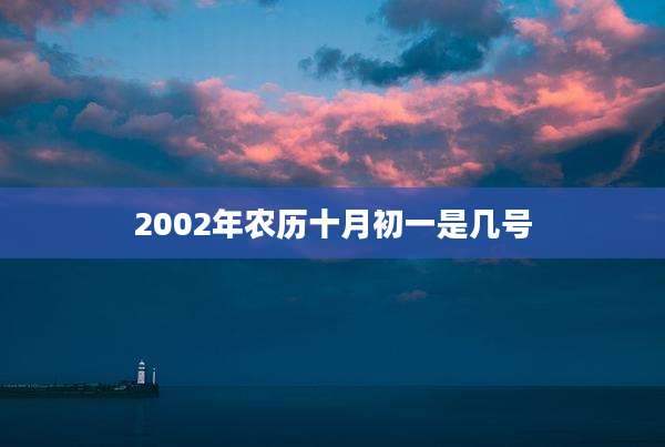 2002年农历十月初一是几号