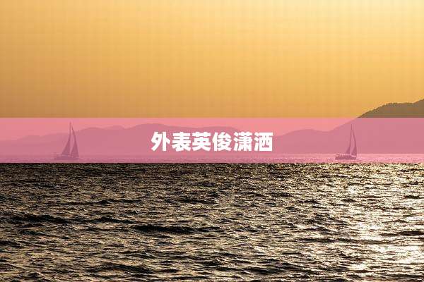 外表英俊潇洒