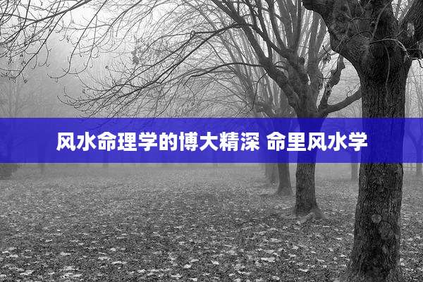风水命理学的博大精深 命里风水学