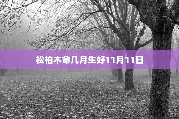 松柏木命几月生好11月11日