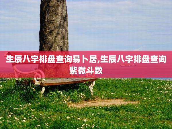 生辰八字排盘查询易卜居,生辰八字排盘查询紫微斗数